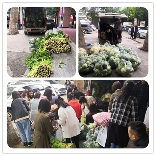 1570871860236056.jpg 微信圖片_20191012154700.jpg