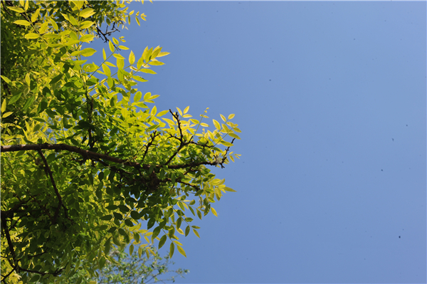 1586768256710836.jpg a40bec02b0e46cc364e95cb5bbb5110_副本.jpg