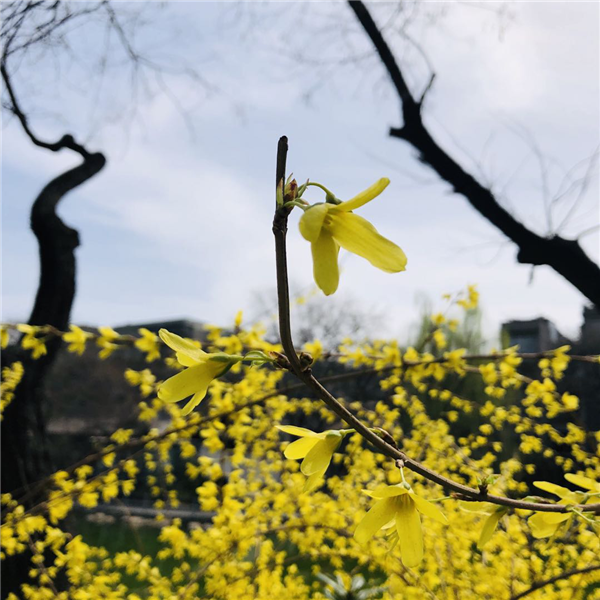 1587003814236750.png 圖片5_副本.png