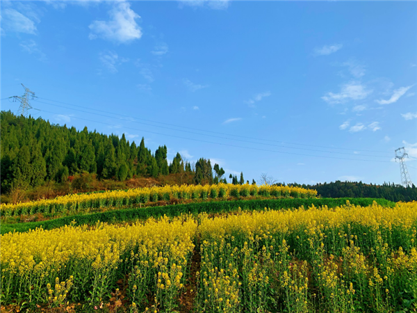 1587480332810562.png 圖片 1_副本.png