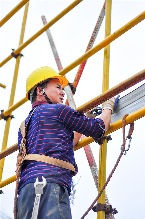 1596162556401267.jpg 遙望.jpg