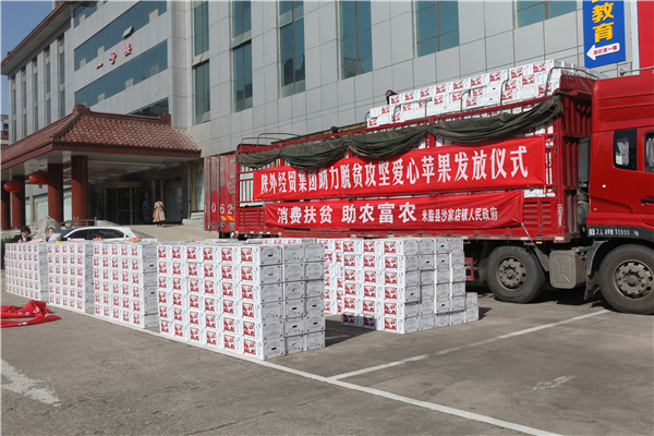 1604910266878271.jpg 1_副本.jpg