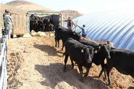 1683596912979501.jpg 0cabcbd41a5c61b9a214690b96a0e6f_副本.jpg