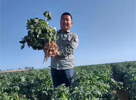 1688086740787379.jpg c545f0bc9e76ffbff47312a4ff95065_副本.jpg