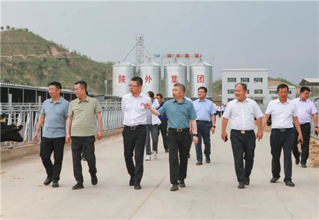 1688353122737534.jpg 4_副本.jpg