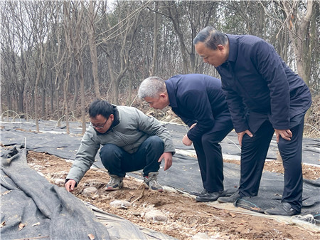 1709257579399033.jpg a86383343dd10400c592b1eee95ebcc_副本.jpg