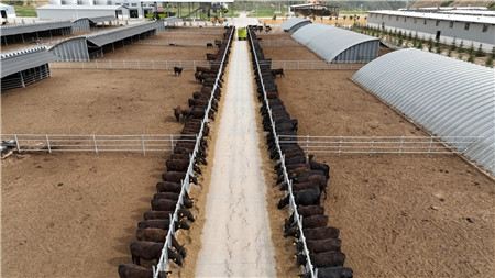 1715857027803419.jpg b76d4117d0c7defada22ce620bddb68_副本.jpg